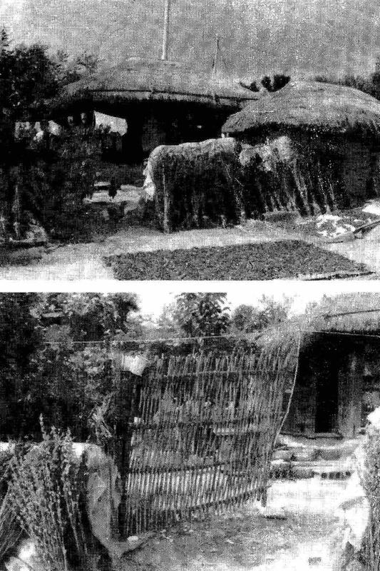 초가집의 전통가옥과 사립문. 지금은 찾아볼 수 없는 풍경이 되었다.