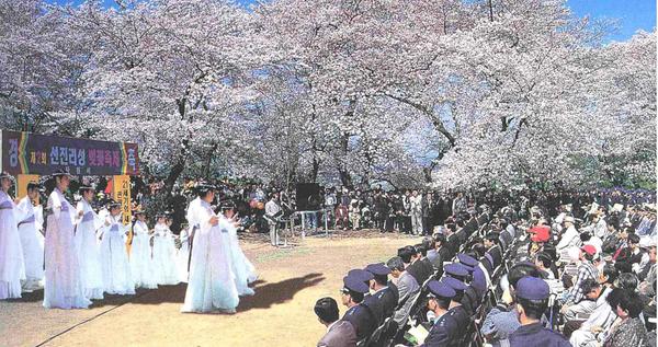 ▲선지리성 벚꽃축제