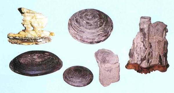 종포에서 출토된 화목석 및 고기석