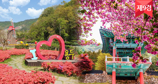 제9경 용두공원과 청룡사겹벚꽃